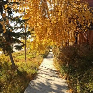 Родные улочки