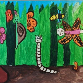 В мире насекомых