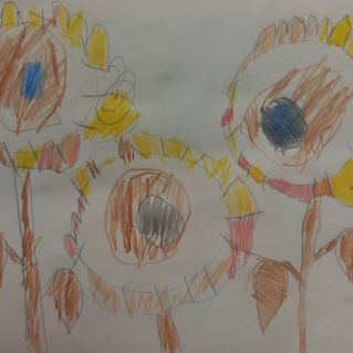 Подсолнухи