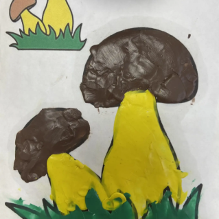 Грибы на опушке