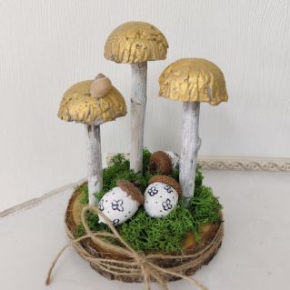 Волшебная полянка