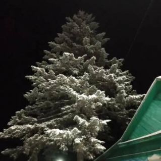 Королева зимы