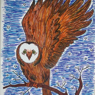 "Мои пернатые друзья"