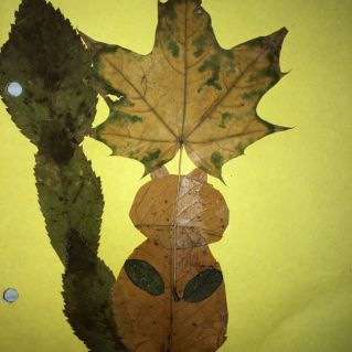 Белочка в лесу