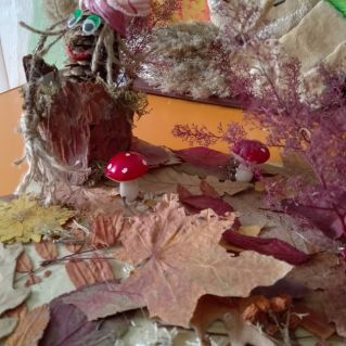 Лесная полянка.