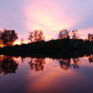 Осенний лес