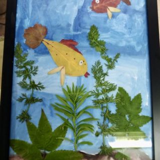 "Подводный мир"