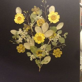 Лютик золотой