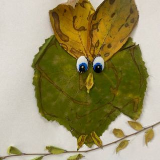 "Совушка-совунья"