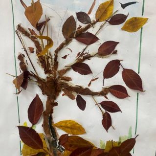 "Очарование осени"