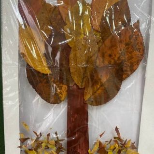 "Заглянула осень к нам"