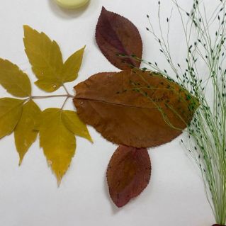 "В подводном царстве"