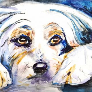 "Любимый пёс"