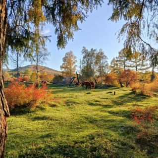 "Моя малая родина"