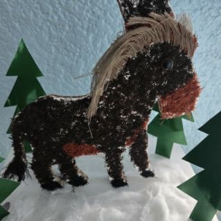 "Символ 2026 года"