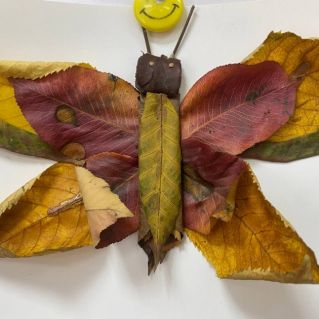 "Цветочный  адмирал"