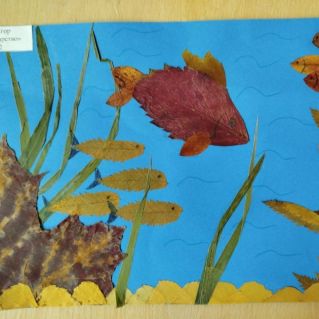 Подводное царство