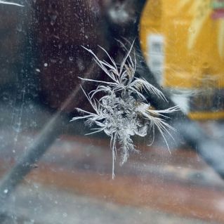 «Зимний узор»