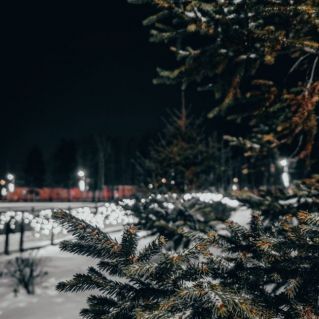 В ожидании чуда