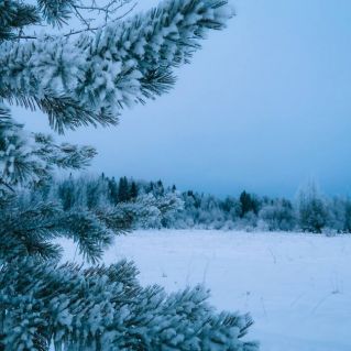 В объятиях зимы