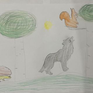 Дикие животные в лесу