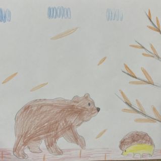 Встреча в лесу