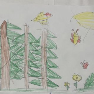 По лесной тропинке