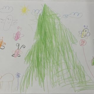 Мир живой природы