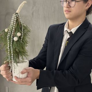 Креативная елка