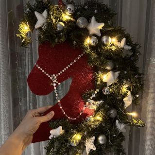 «Пламенная грация »