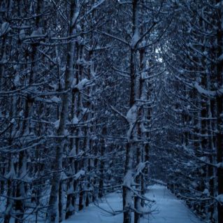 "зимнее настроение"