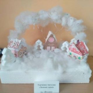 "Зимний город"