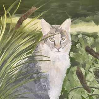 "Усатый и полосатый"