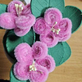 "Чудо для мамы"