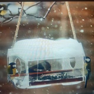 «Трудно птицам зимовать, надо птицам помогать!»