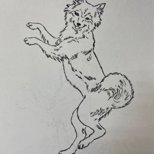 Любимый питомец Акита (Каллиграфическое рисование)