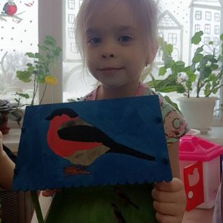 "Каждой птице нужен дом"