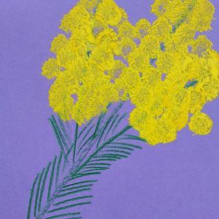 "Весенние цветы"