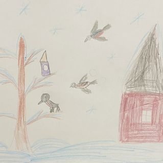 "Зимние пернатые друзья"