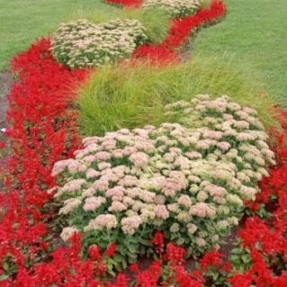 Красота природы России