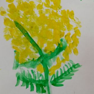 "Веточка мимозы"