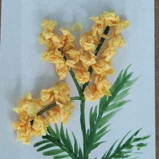 Мимоза для мамы