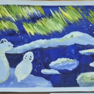 "Волшебство северного сияния"