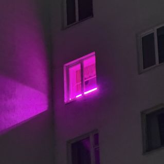 Свет