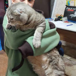 Нянька