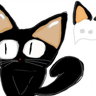 Черный котик