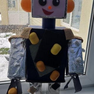 "Робот в космос"