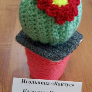 "Игольница "Кактус""