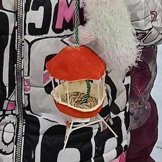 Изготовление кормушки