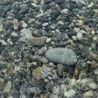 Морские приключение
